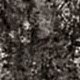 DK.30382-4