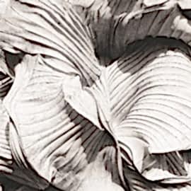 DK.27113-1
