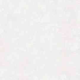 DK.29102-1