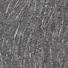 DK.29123-6