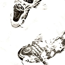 DK.29939-1