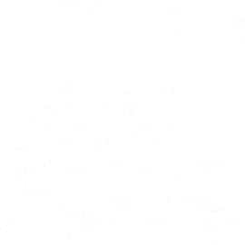 DK.29547-2