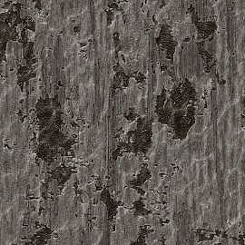 DK.260004-5