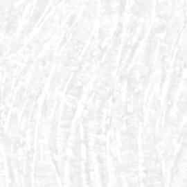 DK.29123-7