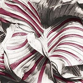 DK.27113-5