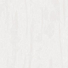 DK.260004-1